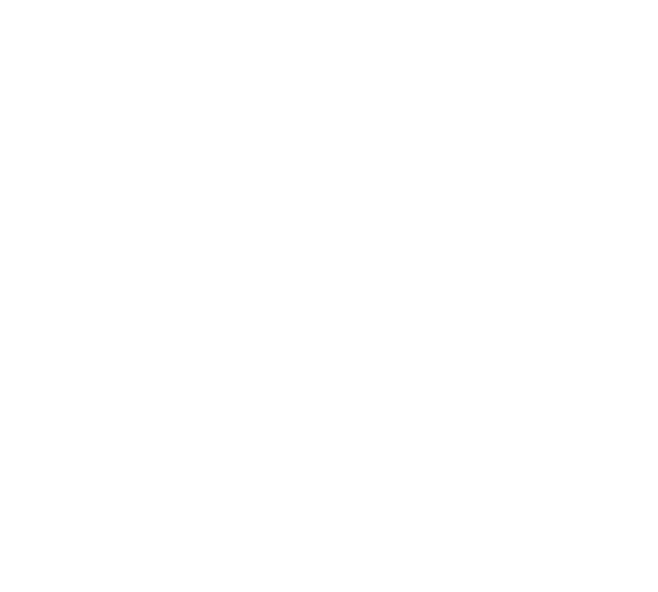 NIO FAR